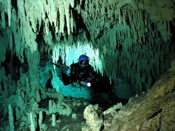 Cancun Cenote Tour: Snorkeling, Rappelling and Ziplining - Getting to the cenotes: pickup timing and how the day really feels