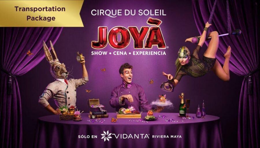 Cancún: Cirque du Soleil JOYÀ Entry Ticket and Transfer - Price and Value: Is $106 Worth It?