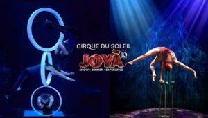 Cancún: Cirque du Soleil JOYÀ Entry Ticket and Transfer - Vidanta Riviera Maya: The Kind of Venue That Makes the Show Easier
