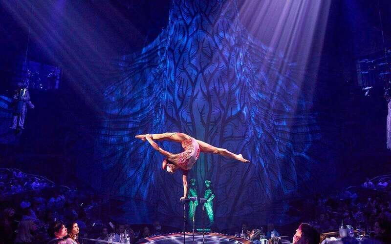 Cancún: Cirque du Soleil JOYÀ Entry Ticket and Transfer - Dinner at the Show: A 3-Course Meal That Changes the Whole Timing