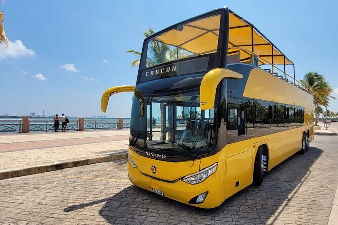 Cancun City Sightseeing and Shopping Tour on a Double Decker bus - What You’re Actually Buying With a Cancun City Sightseeing + Shopping Tour