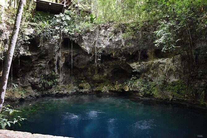 Cancun: Discover the Hidden Treasures: Exploring 3 Jungle Cenotes - Cenote Route Reality: What This Tour Delivers