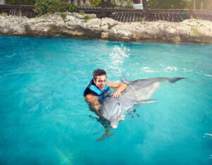 Cancún: Dolphin Encounter on Isla Mujeres with Buffet - Ferry Timing From Playa Langosta (Why It Matters)