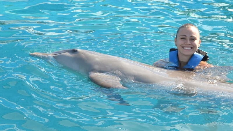 Cancún: Dolphin Encounter on Isla Mujeres with Buffet - The Dolphin Encounter: Handshakes, Facts, and an Underwater Platform