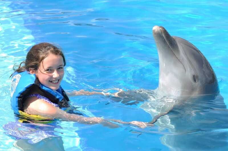 Cancún: Dolphin Encounter on Isla Mujeres with Buffet - Price and What You’ll Actually Pay on Top of $95