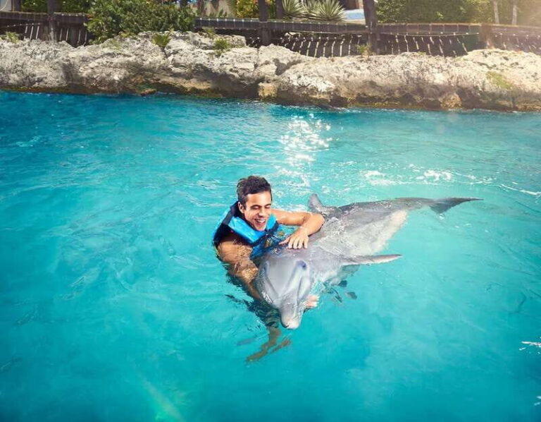 Cancún: Dolphin Encounter on Isla Mujeres with Buffet - Ferry Timing From Playa Langosta (Why It Matters)