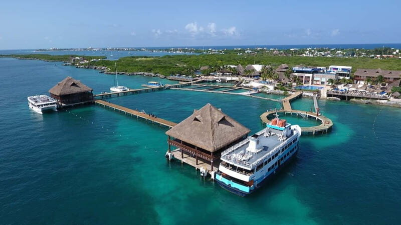 Cancún: Dolphin Encounter on Isla Mujeres with Buffet - Who This Dolphin Encounter Suits Best (and Who Should Skip It)
