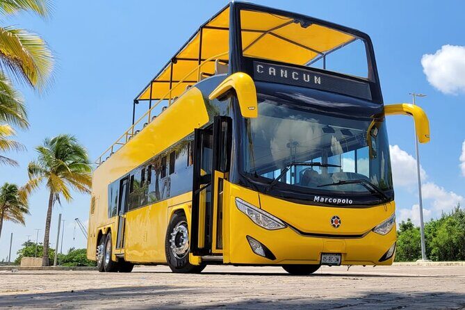 Cancun Guided Bus City Tour (from Cancun and Riviera Maya) - Entering the Route: What This Tour Is Really Designed to Do