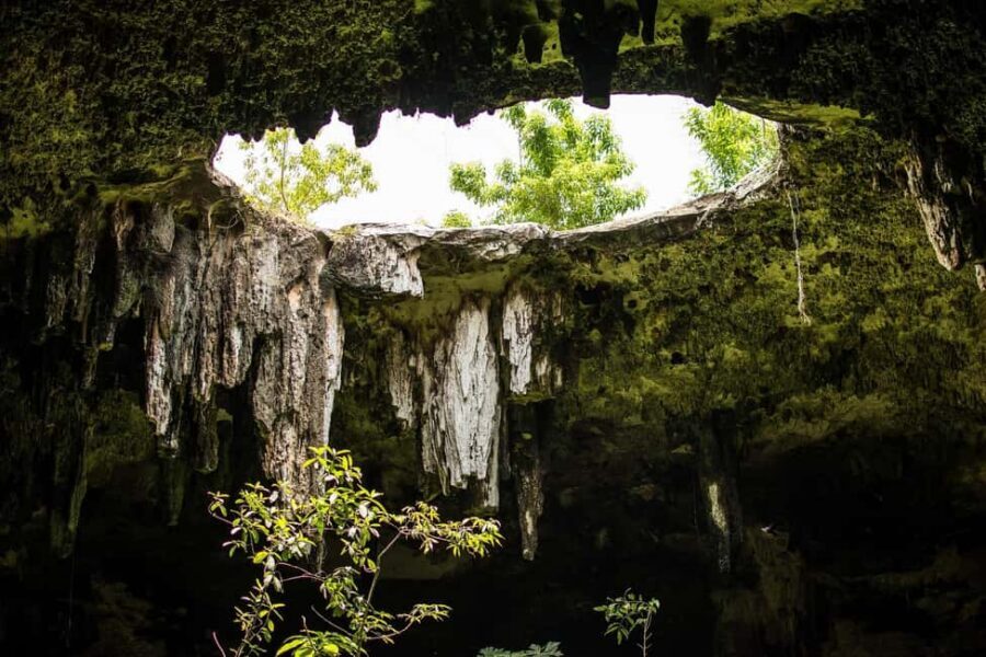 Cancun in its entirety: Chichen Itza ruins, cenote, and Valladolid - Price reality check: how $71 turns into the true total