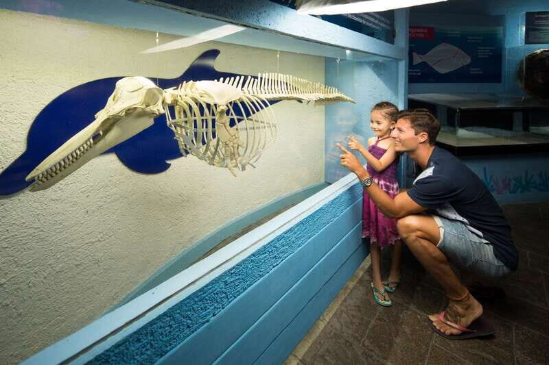 Cancún: Interactive Aquarium Admission - Plaza La Isla location: start fast, stay flexible