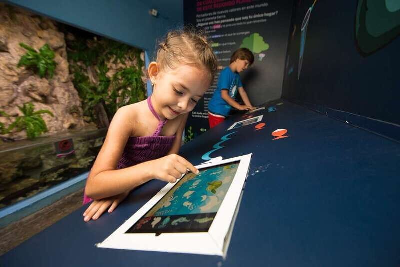 Cancún: Interactive Aquarium Admission - The fish tank walk-through and the 1,195 specimens