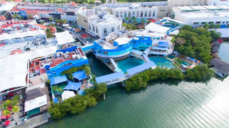 Cancún: Interactive Aquarium Admission - Touch tanks: rays, starfish, and sea urchins