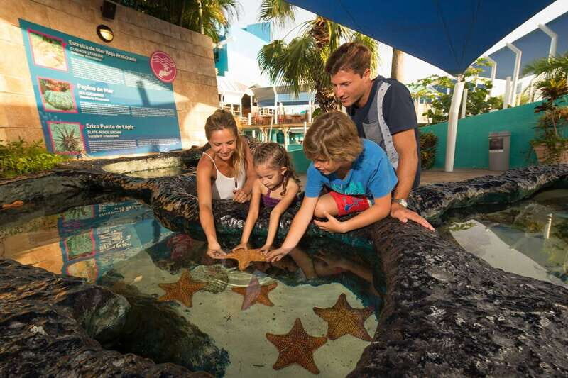 Cancún: Interactive Aquarium Admission - Marine life mix: corals, anemones, jellyfish, and more