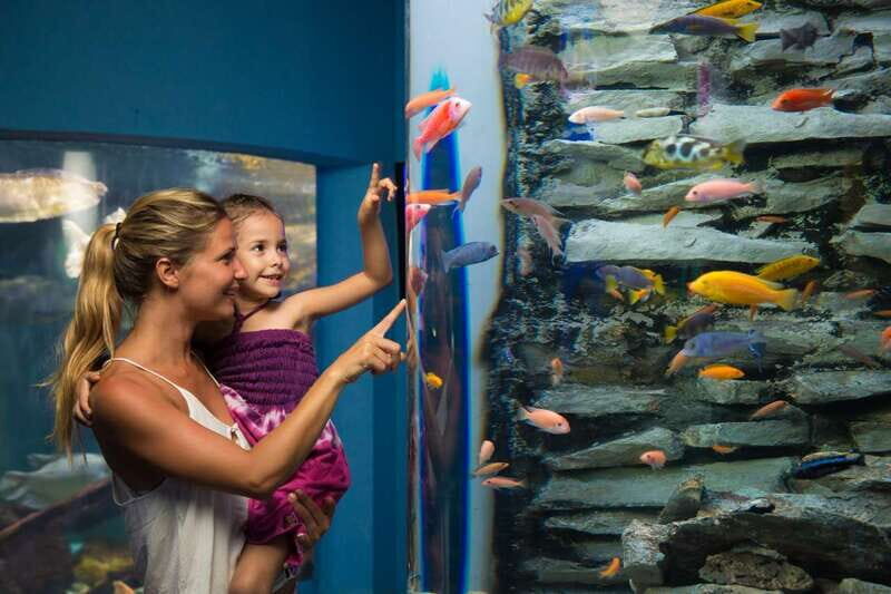 Cancún: Interactive Aquarium Admission - Dolphins: watch-only is included, extras cost extra