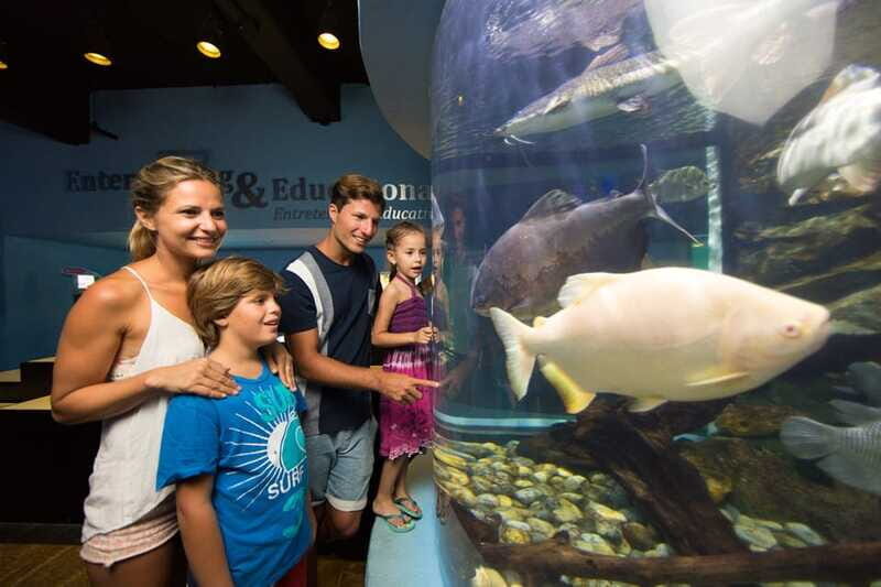 Cancún: Interactive Aquarium Admission - How long should you plan: 30 to 60 minutes is realistic
