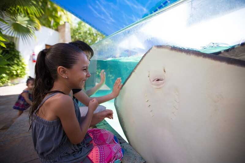 Cancún Interactive Aquarium Admission + Dolphin Presentation - Practical tips before you go