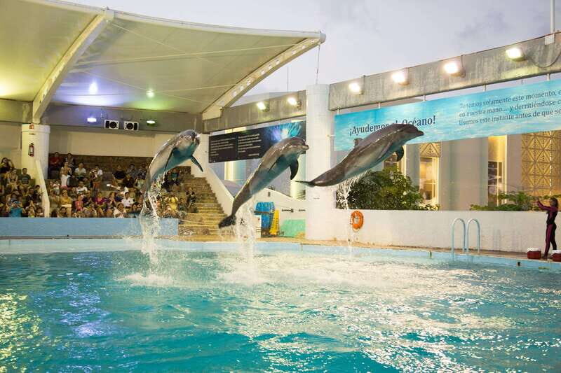 Cancún Interactive Aquarium Admission + Dolphin Presentation - Getting to Plaza La Isla (and why it matters)