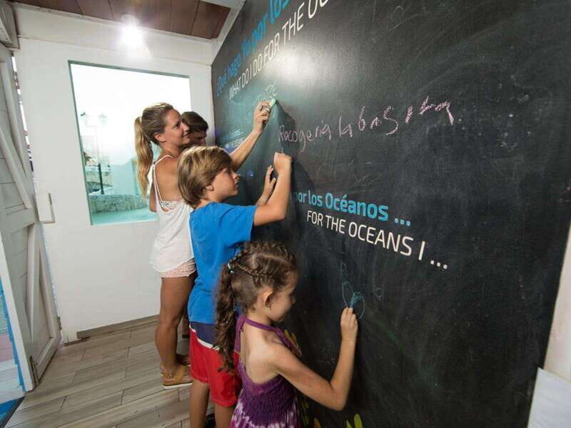 Cancún Interactive Aquarium Admission + Dolphin Presentation - Colorful corals and the reef-style displays