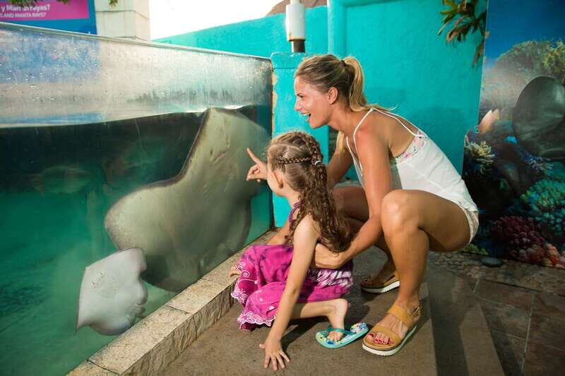 Cancún: Interactive Aquarium Admission - Price and value: $17 works if you want a short, hands-on aquarium
