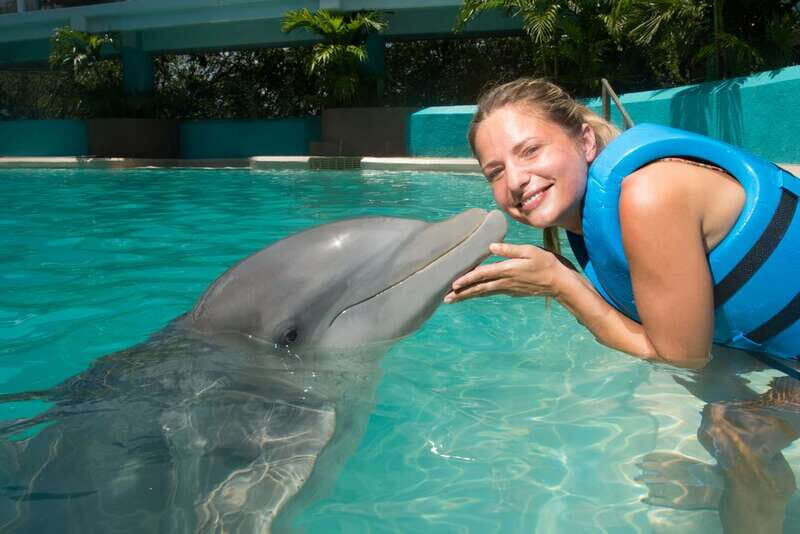 Cancun: Interactive Aquarium - Swim with Dolphins Splash - Where the dolphin swim fits in Cancun: Plaza La Isla logistics