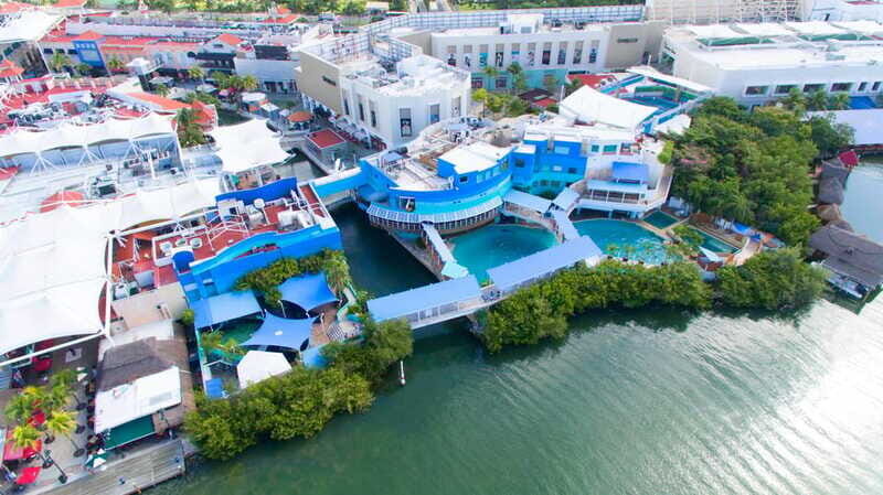 Cancun: Interactive Aquarium - Swim with Dolphins Splash - Practical tips for a smoother swim session