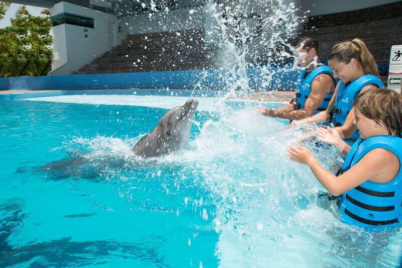 Cancun: Interactive Aquarium - Swim with Dolphins Splash - Check-in, lockers, and the rules that shape the experience