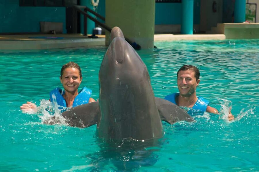 Cancun: Interactive Aquarium Ticket and Swim with Dolphins - Key things to know at a glance