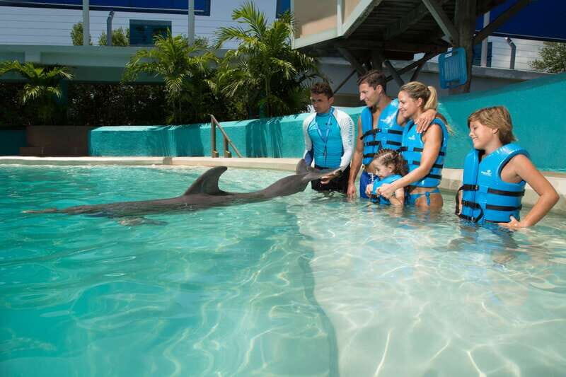 Cancun: Interactive Aquarium Ticket and Swim with Dolphins - Interactive Aquarium Admission: The Warm-Up Before the Water