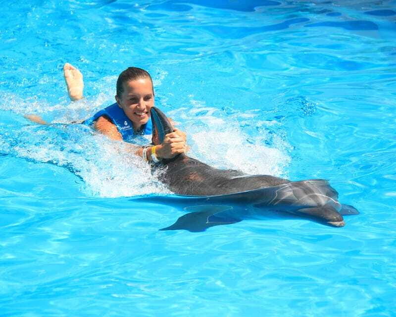 Cancun: Interactive Aquarium Ticket and Swim with Dolphins - Price and Photo Reality: Is $138 Worth It?