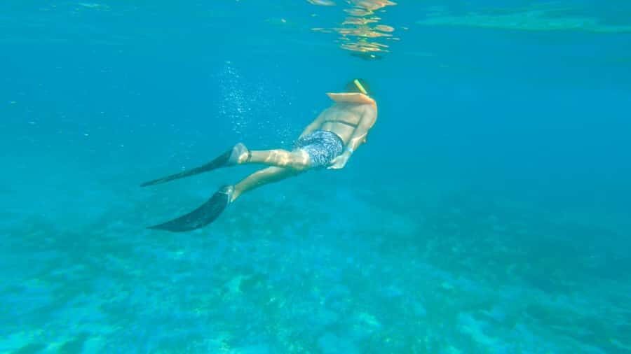 Cancun: Isla Mujeres Full Day Dancer Cruise - Key Highlights That Make This Cruise Worth a Spot