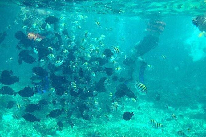 Cancun Jetski and Snorkel Adventure - The blue-water ride: how timing and group size affect your experience