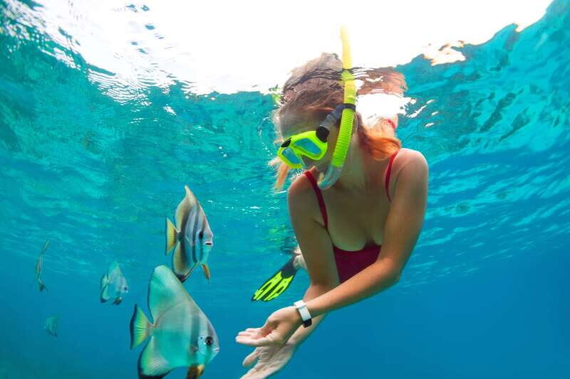 Cancun: Jungle Tour Adventure with Speedboat and Snorkeling - Key Highlights You’ll Feel Quickly