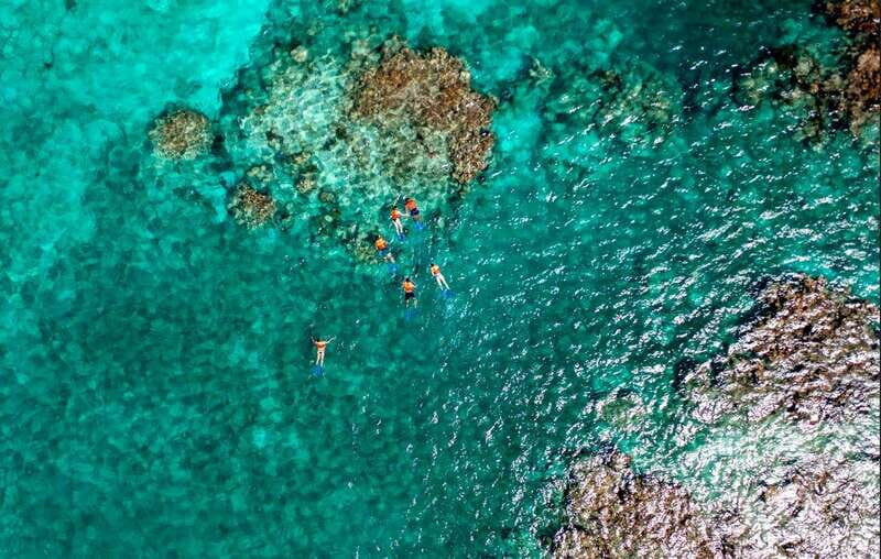 Cancun: Jungle Tour Adventure with Speedboat and Snorkeling - Puerto Maya Cancún: Mayan Rituals Before You Hit the Water