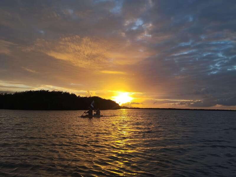 Cancun: Kayaking Tour in Nichupte Lagoon - Key Highlights You’ll Notice Right Away