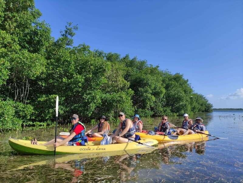 Cancun: Kayaking Tour in Nichupte Lagoon - What to Bring (and What to Leave Alone)