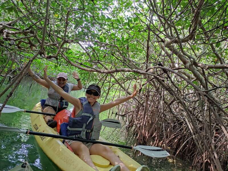 Cancun: Kayaking Tour in Nichupte Lagoon - From Safety Briefing to Sliding Into the Mangroves
