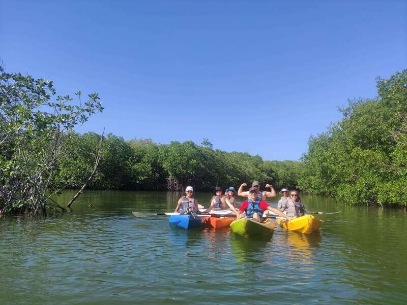 Cancun: Kayaking Tour in Nichupte Lagoon - First-Timer Coaching and the Moment Your Arms Notice