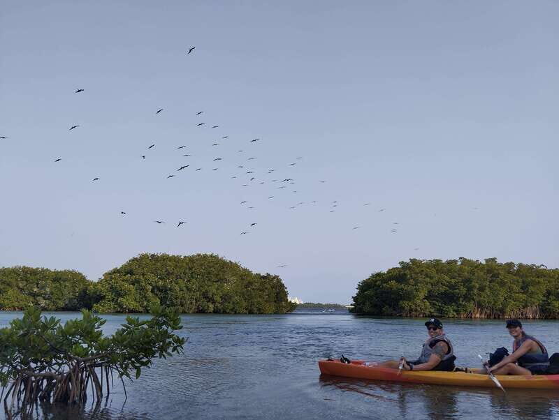 Cancun: Kayaking Tour in Nichupte Lagoon - Mangrove Caves and Tight Tunnels: Where the Trip Gets Real