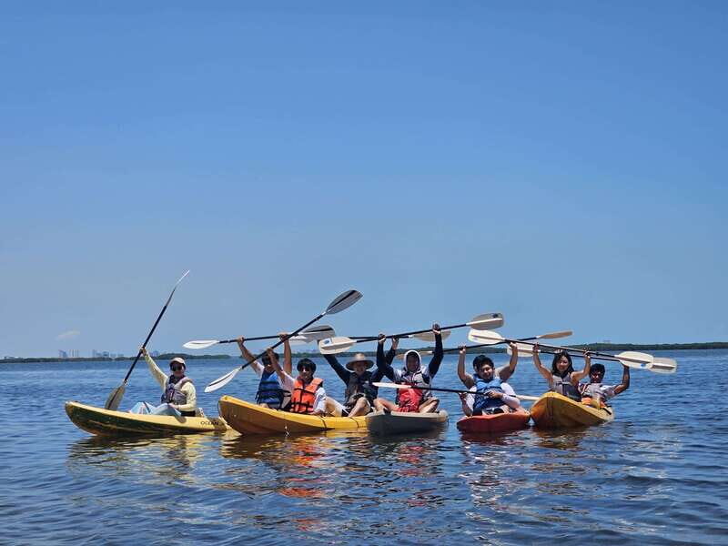 Cancun: Kayaking Tour in Nichupte Lagoon - Wildlife Spotting in Nichupte Lagoon: What You Might See