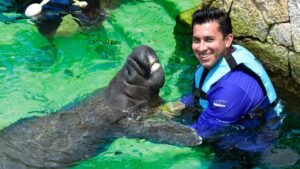 Cancún: Manatee Encounter on Isla Mujeres with Buffet Lunch - The ferry ride from Playa Langosta: what to expect and what to watch for