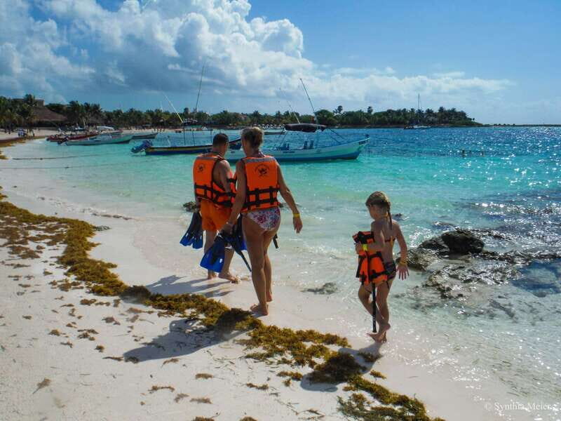 Cancun: Marine Turtle Observation in Akumal - Food and drinks: snacks, not lunch