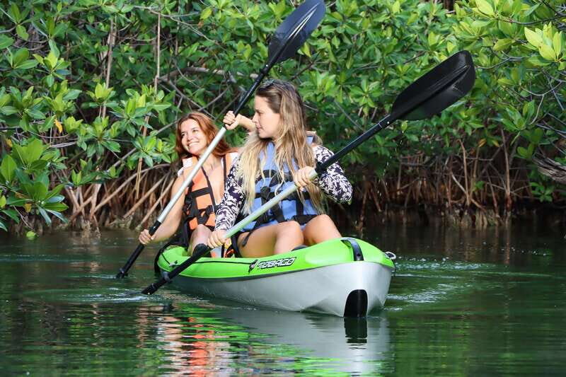 Cancun: Morning Kayak Adventure - Paddle through Nichupté Lagoon mangroves: birds, calm water, and channels