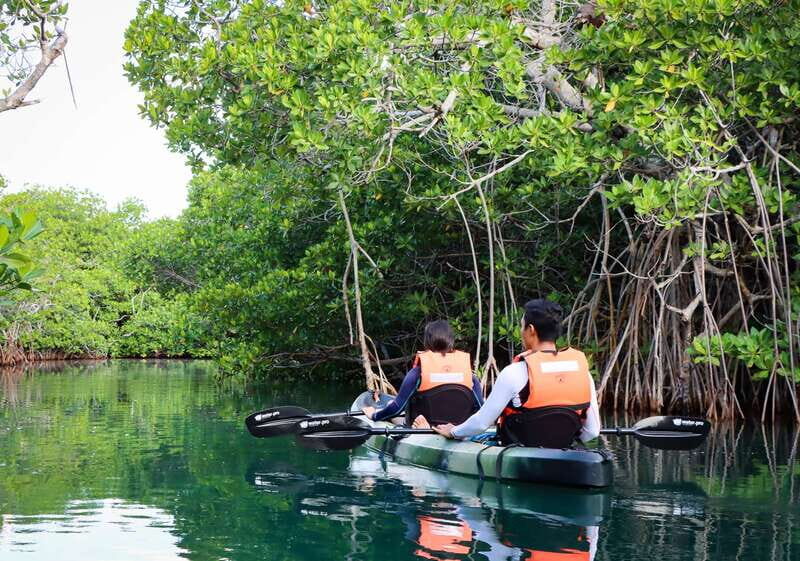 Cancun: Morning Kayak Adventure - The 15-minute break and photo stop (how it fits the tour pace)