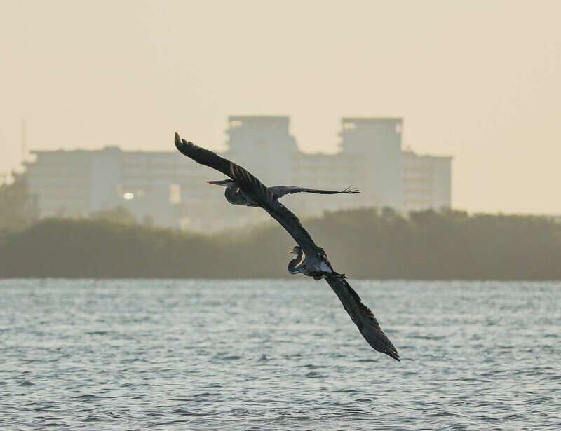 Cancun: Morning Kayak Adventure - Kayak comfort and what’s included for a smooth experience