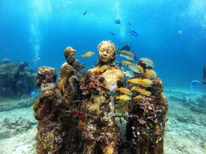 Cancun: Musa Underwater Museum & Reef Discover Scuba Diving - Getting to Aquafun Marina and the 8:00 AM Check-In
