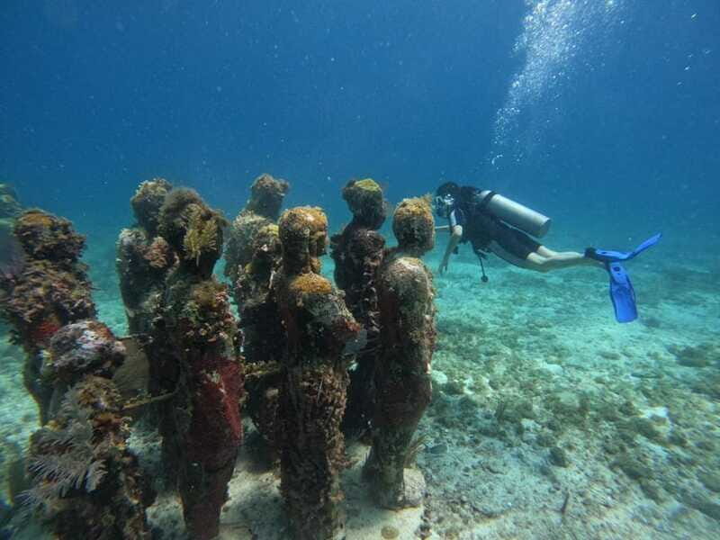 Cancun: Musa Underwater Museum & Reef Discover Scuba Diving - The Reef Session After the Museum: What Changes Underwater