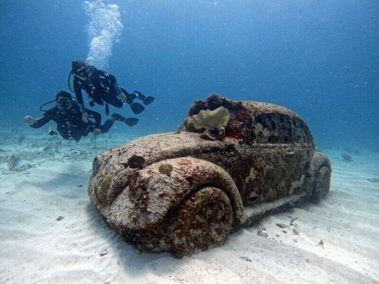 Cancun: Musa Underwater Museum & Reef Discover Scuba Diving - 105 Minutes of Safety Briefing + Pool Skills (The Part You’ll Be Glad For)