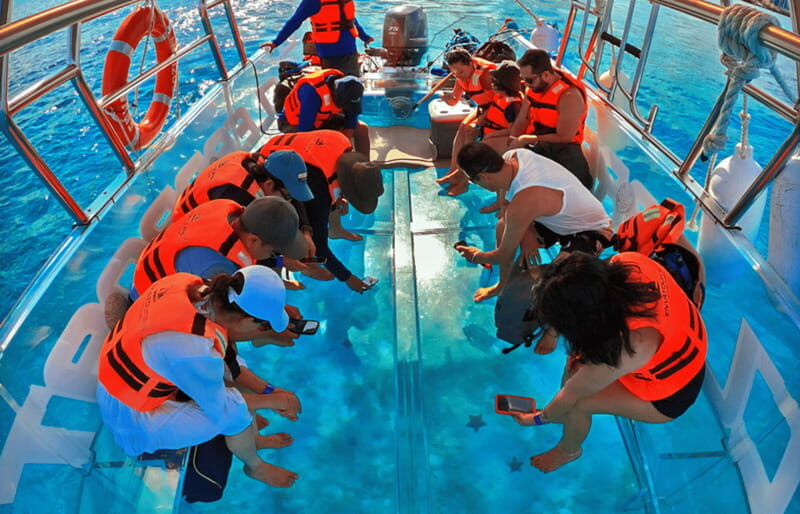 Cancún: Nichupté Lagoon Transparent Boat Tour with Drinks - Price and value: is $40 worth it?