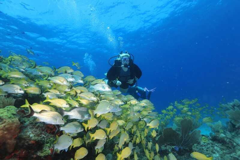 Cancun: Scuba Diving for Beginners, 2 Dives - Who Should Book This (and Who Should Skip It)