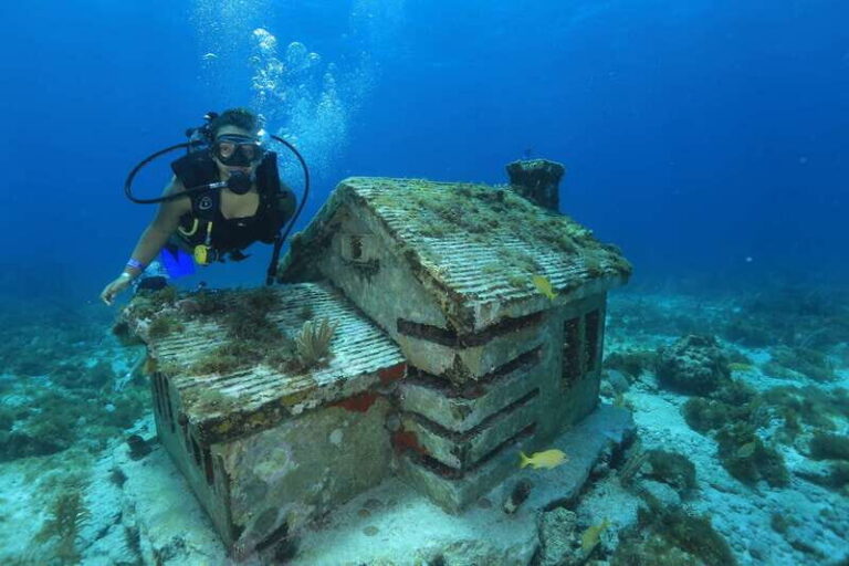 Cancun: Scuba Diving for Beginners, 2 Dives - Marin, Carolina, and Lorena: The Coaching Style That Seems to Win